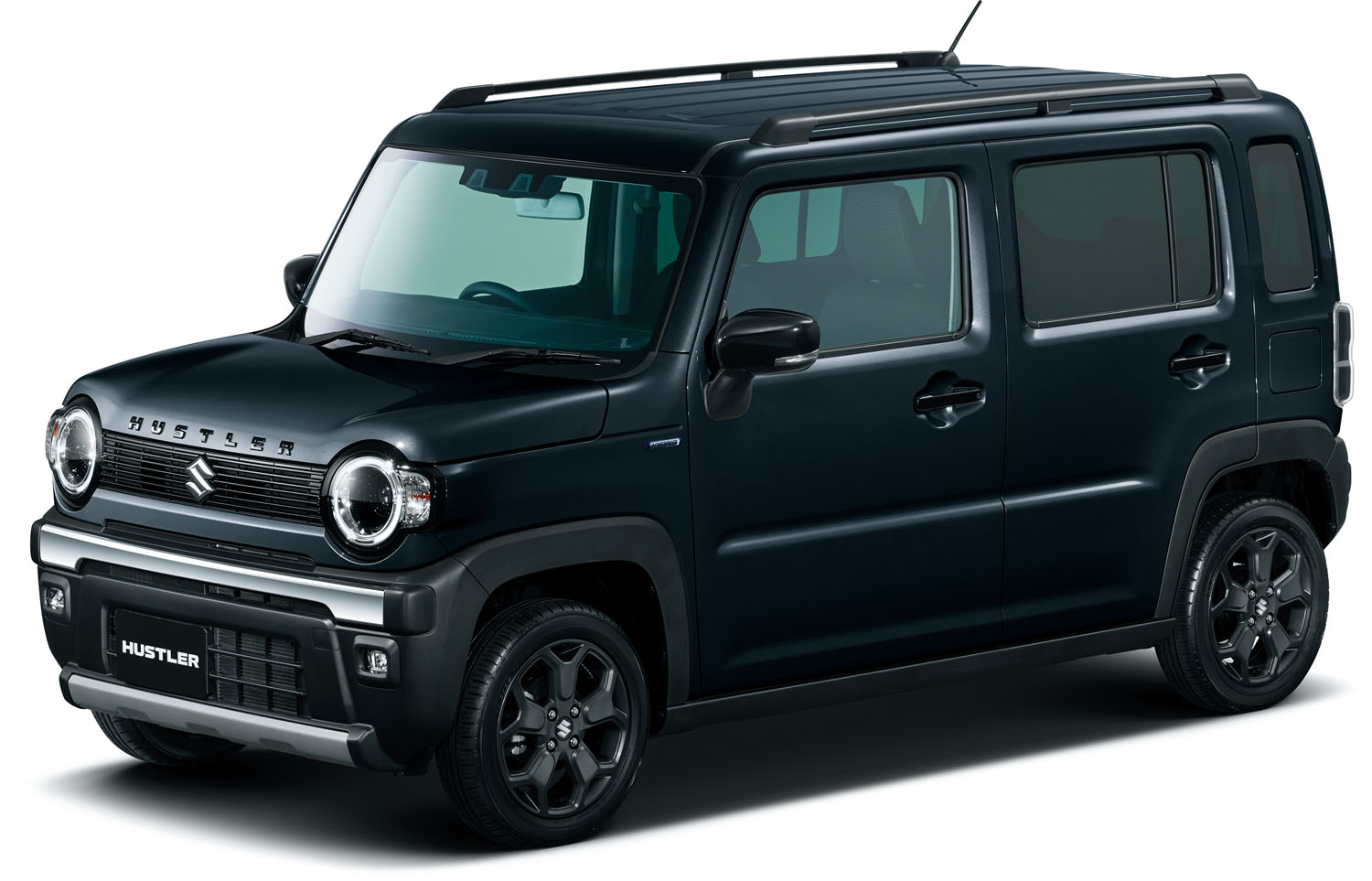 ブルーイッシュブラックパール3